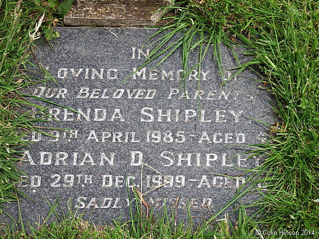 Shipley0036