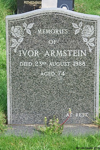 Armstein8761