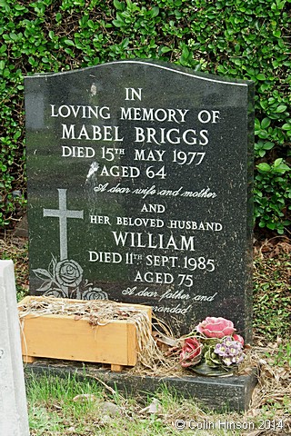 Briggs5049