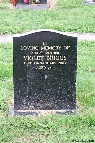 Briggs8934