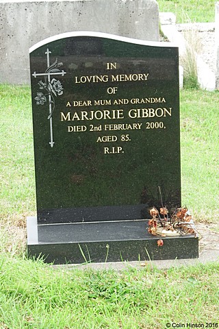 Gibbon5802