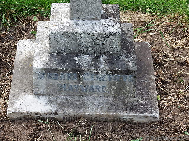 Hayward1663