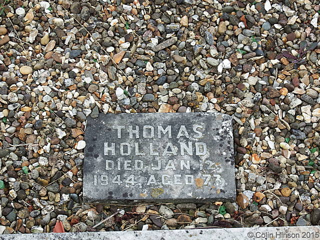 Holland2975