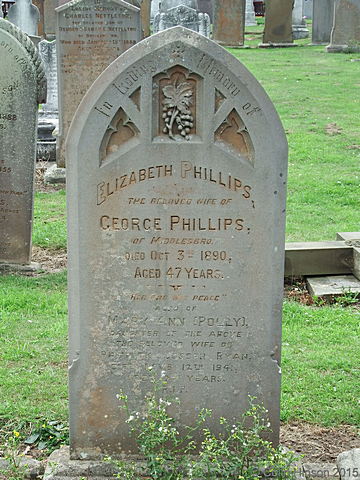 Phillips2011