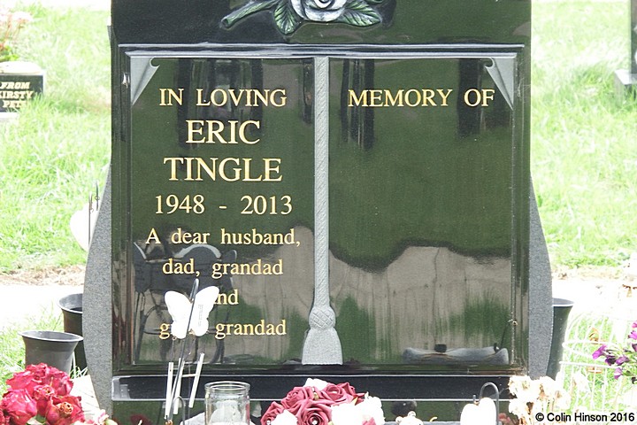 Tingle9696