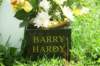Hardy9815_small.jpg