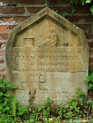 Wilkinson0249