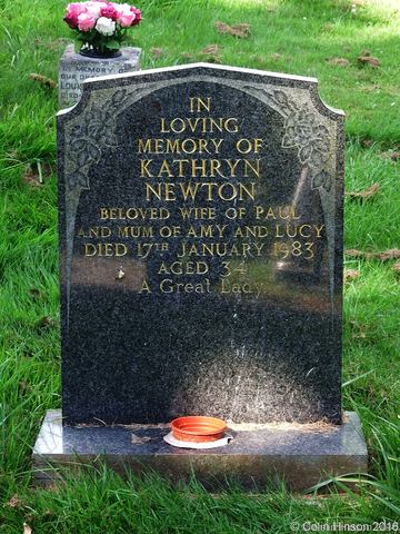 Newton2098