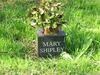 Shipley0209_small.jpg