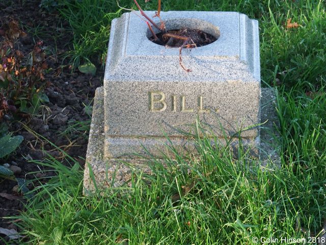 Unknown_Bill1581