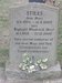 Stiles0562_small.jpg