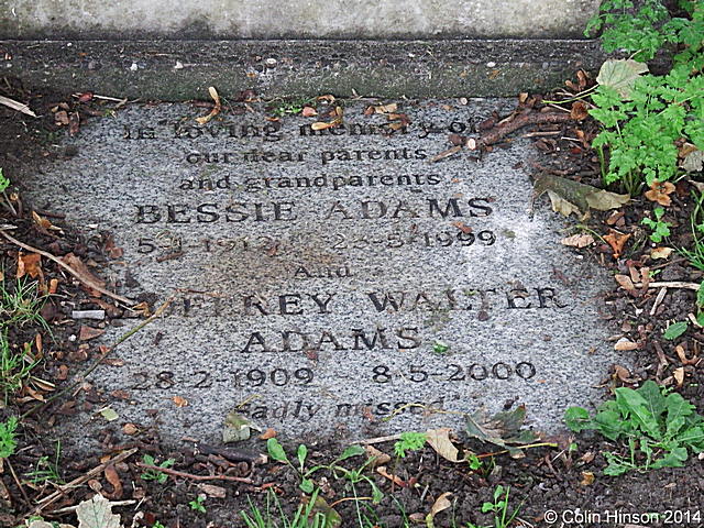 Adams0013