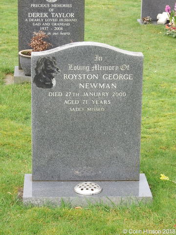 Newman0435