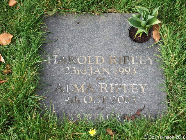 Ripley0509