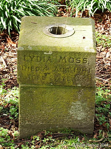 Moss0258