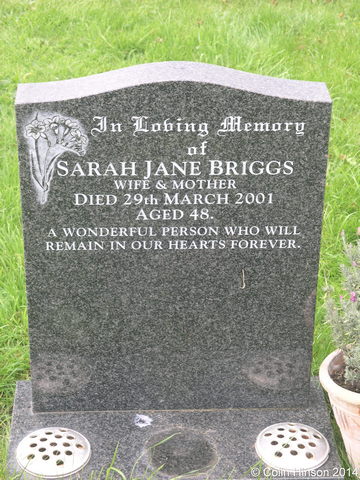 Briggs0165