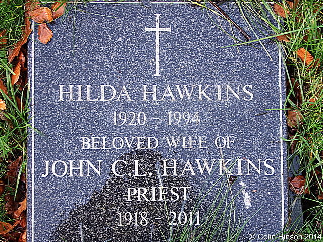 Hawkins0118