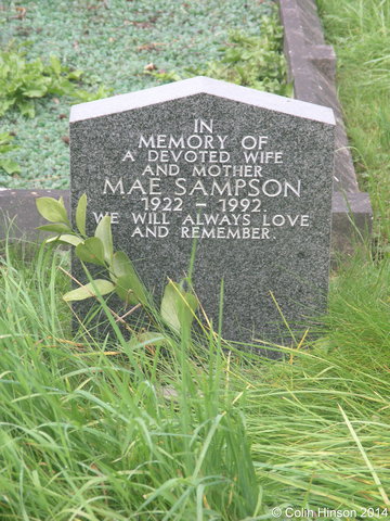 Sampson0160