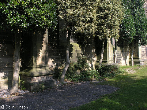 Holly Trees at St. Paul's Church, Birkenshaw