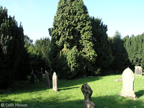 Perhaps your ancestors are buried here - if you can find them!, Ackworth Moor Top