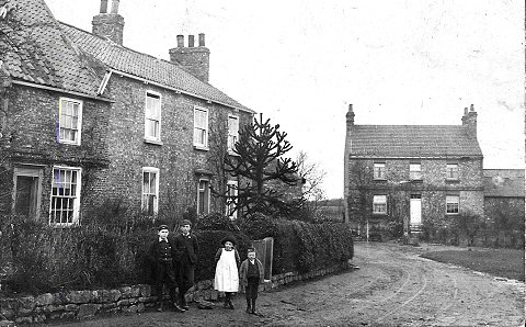 The road to Low Green, Copmanthorpe