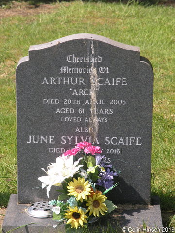 Scaife0331