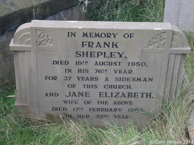 Shepley0194