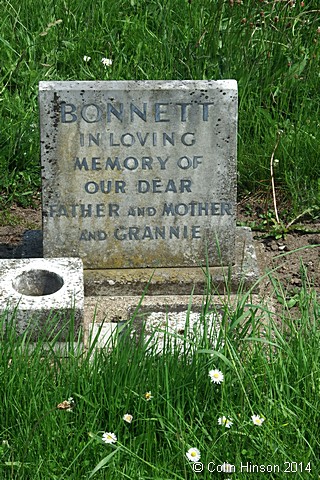 Bonnett4646