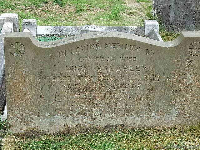 Brearley3350