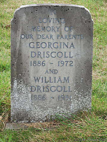 Driscoll3889