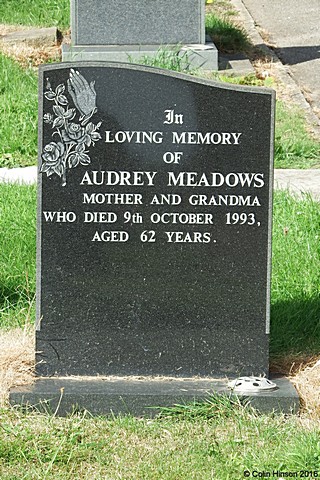 Meadows9484