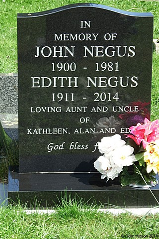 Negus8098