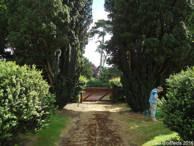 Gate_from_inside_the_cemetery004