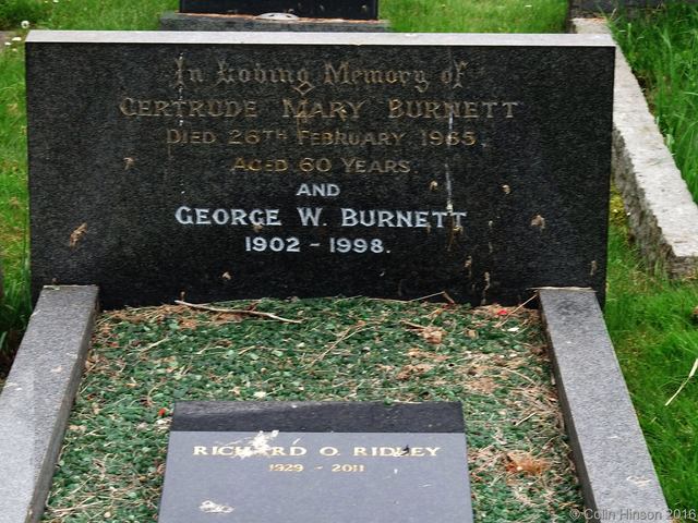 Burnett1896