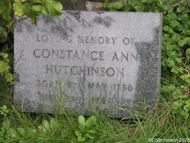 Hutchinson0317