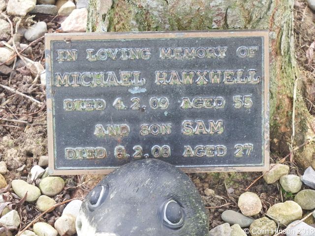 Hawxwell0382