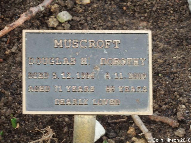 Muscroft0015