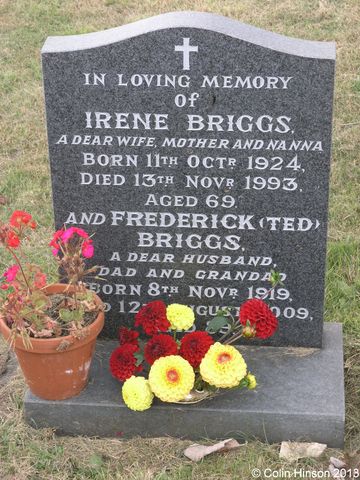 Briggs0121