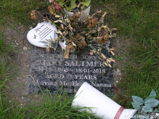 Saltmer0162