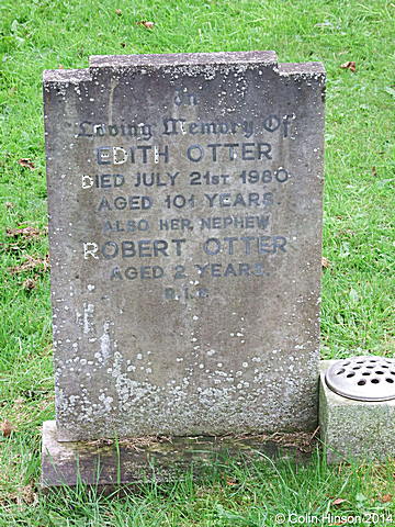 Otter0039