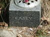 Casey0355_small.jpg