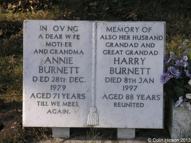 Burnett431