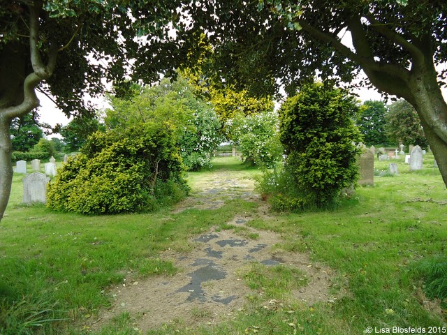 Looking_west_along_the_old_cemetery_path019