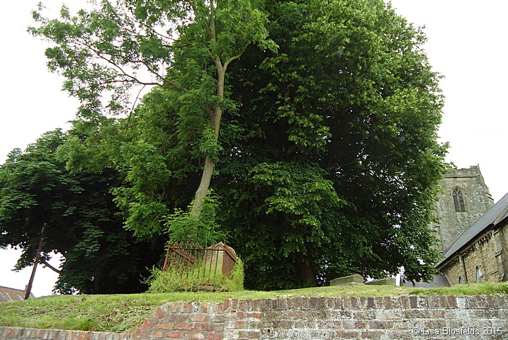 Churchyard_and_church_as_seen_from_the_road005