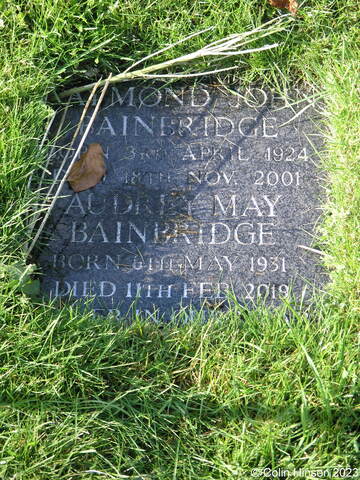 Bainbridge0222