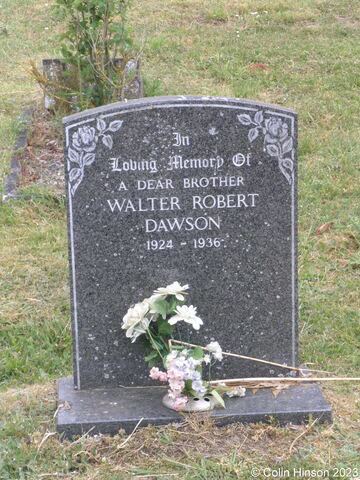 Dawson0356