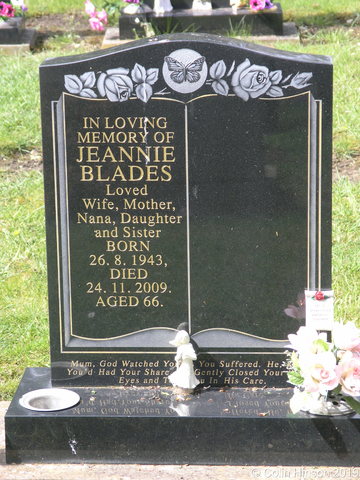 Blades0531