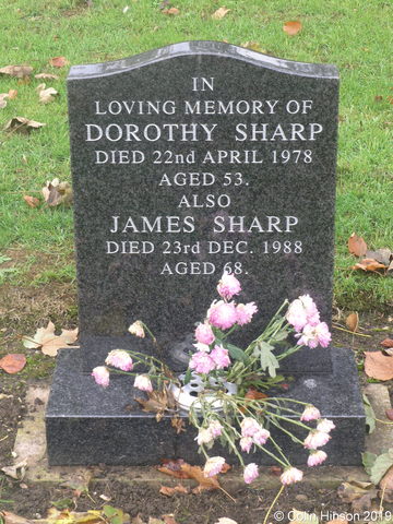 Sharp0086