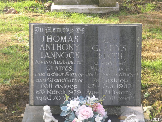 Tannock0232