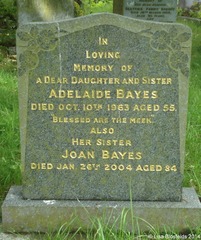 Bayes(139)162